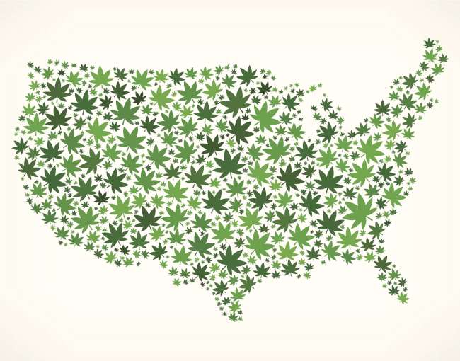 united states map made of cannabis plants